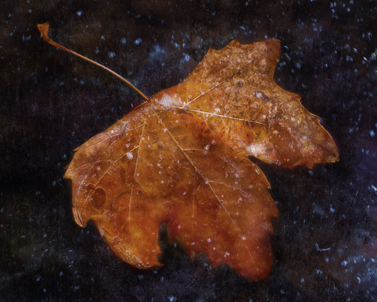 Galactic leaf