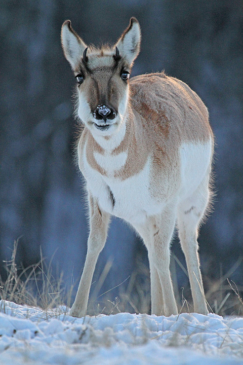 You Talkin' to Me? 