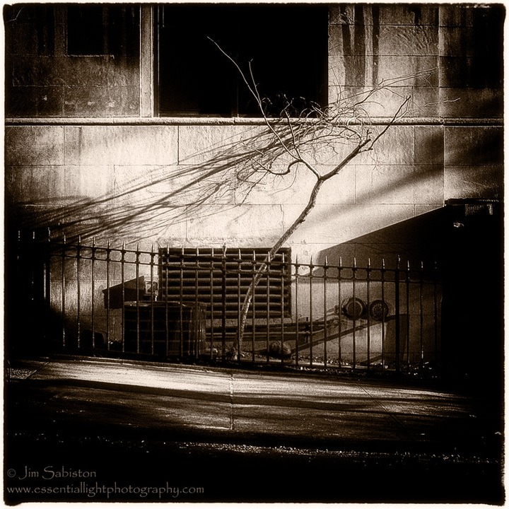Shadowplay
