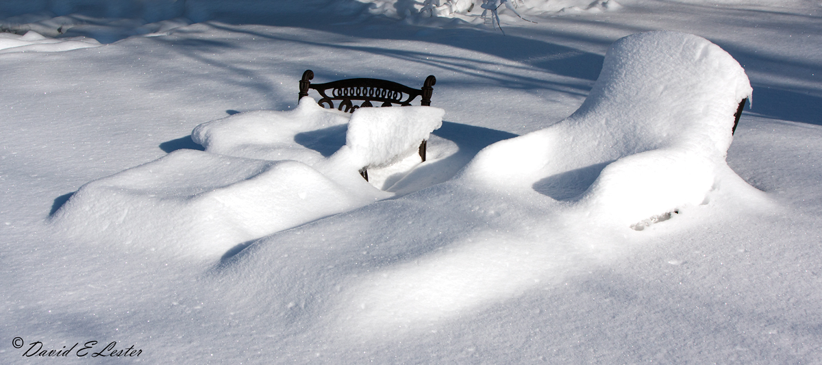 Winter Cover