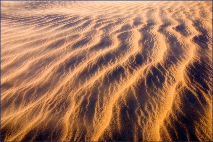 Desert Dreams