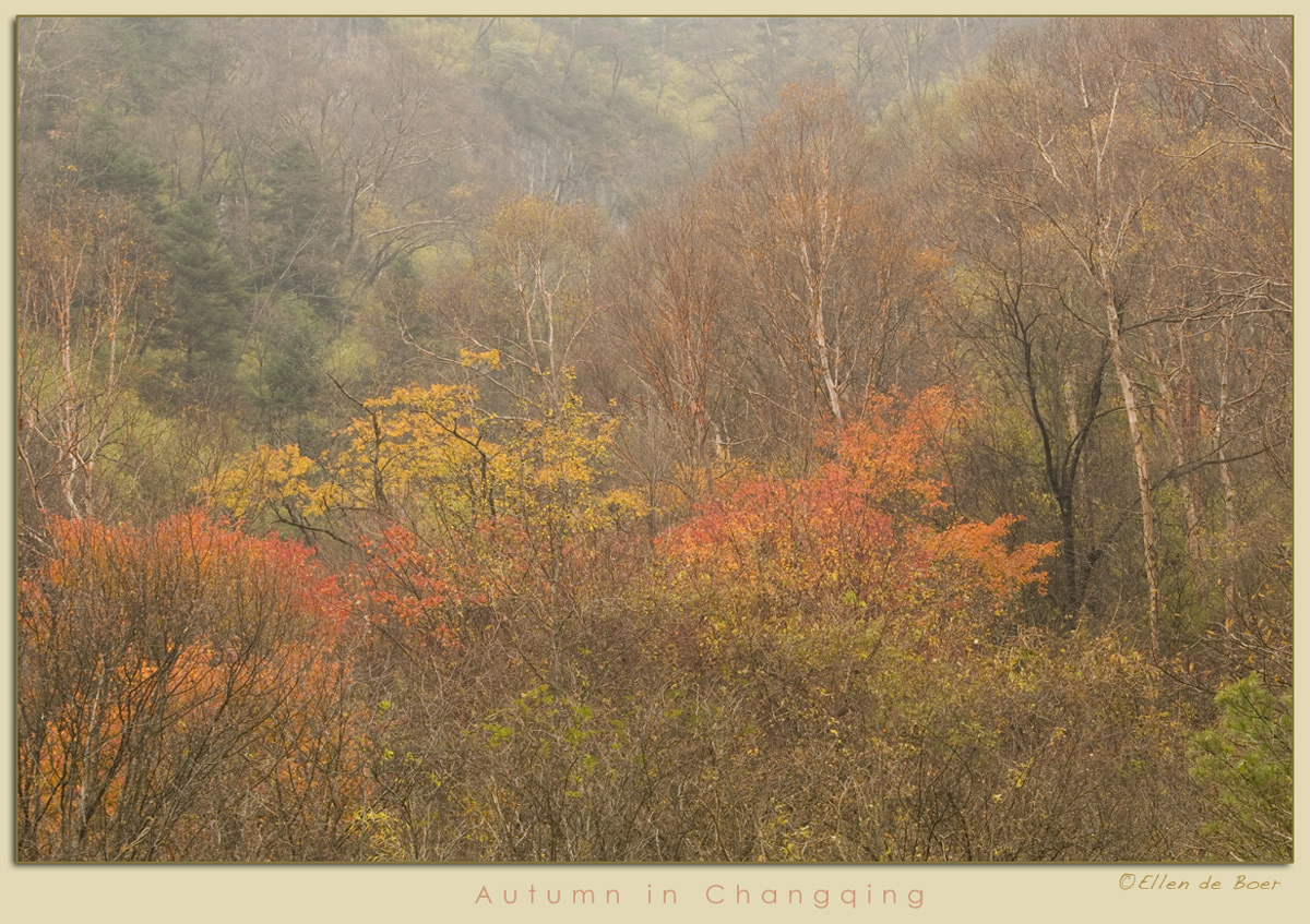 Autumn in Changqing