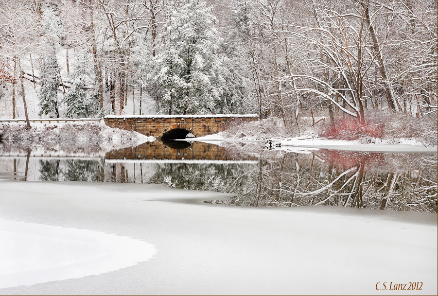Winter Wonderland