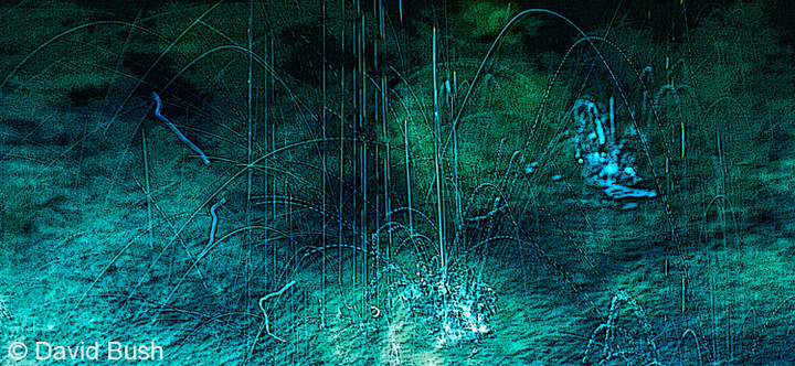 Water Drop Abstract