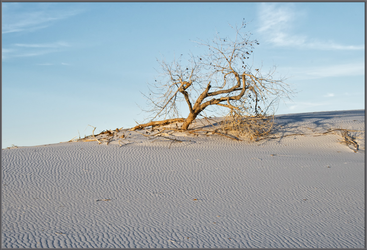 White Sands
