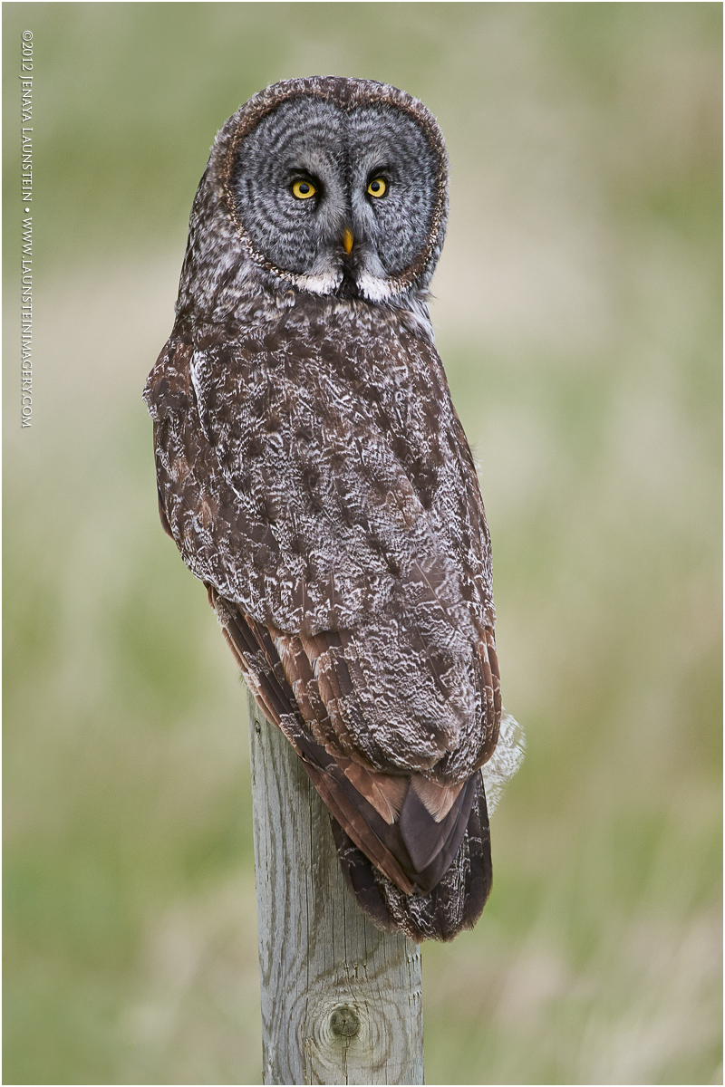 What You Lookin' At?