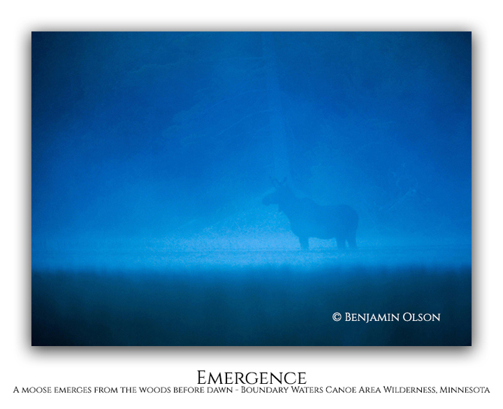 Emergence