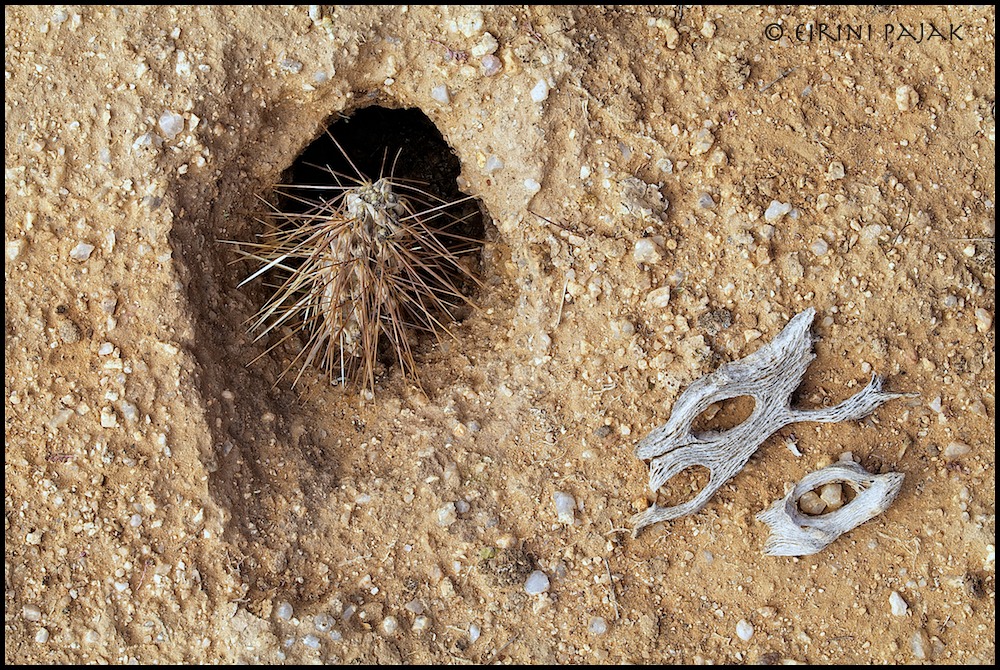 Secure Entry