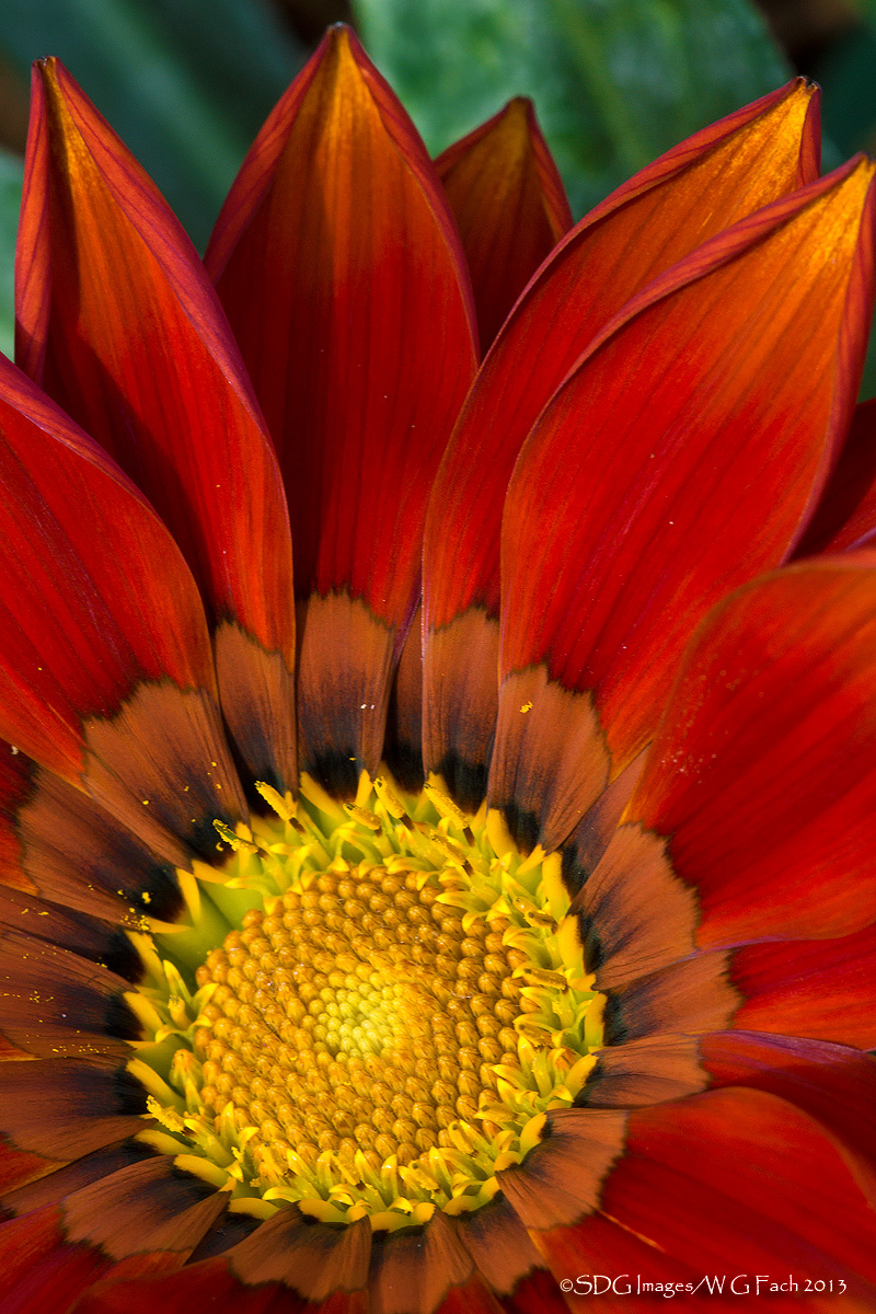 Unfurling