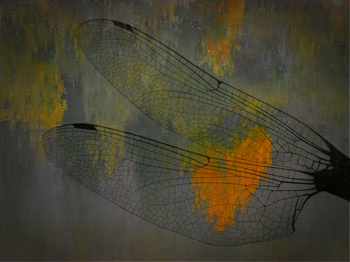 "Chimera"