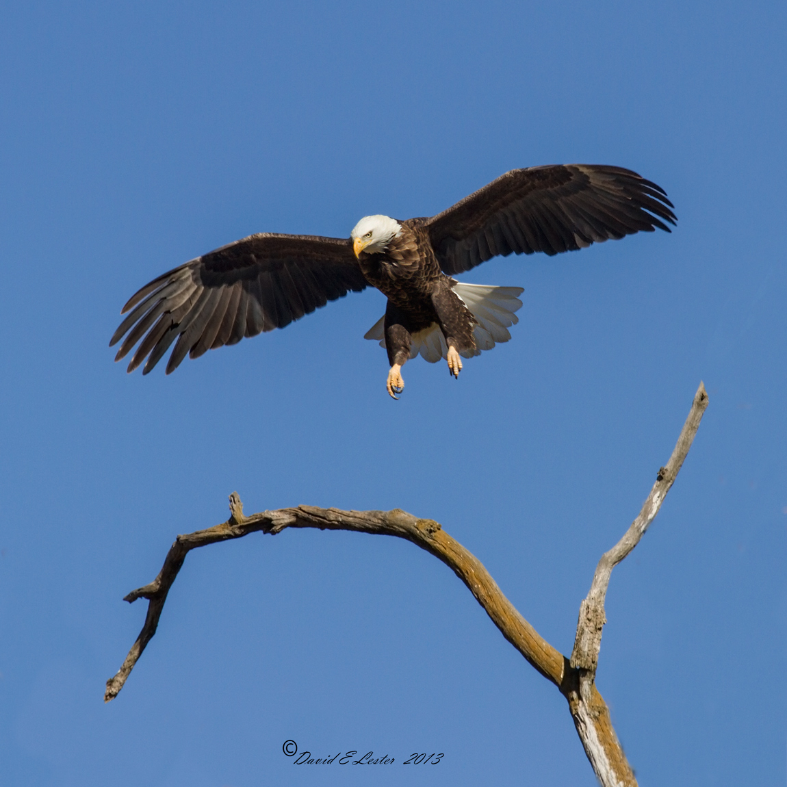 Repost of On Approach Series