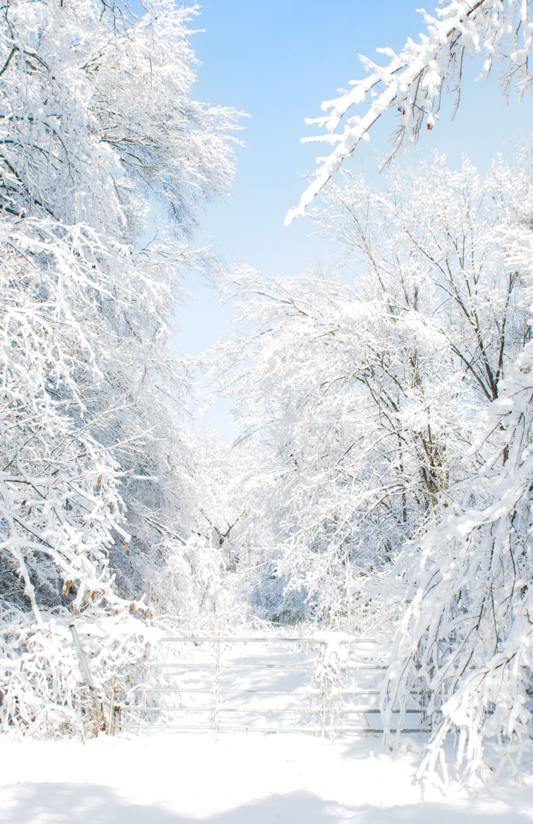 Snowfall