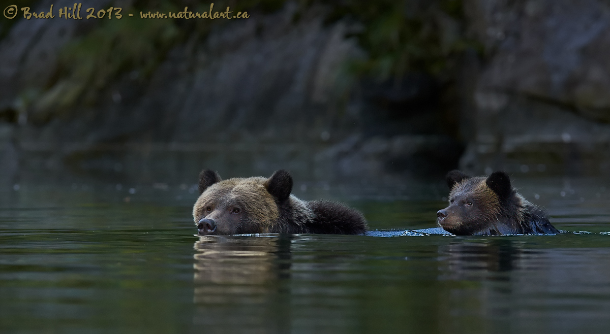 Evening Dip