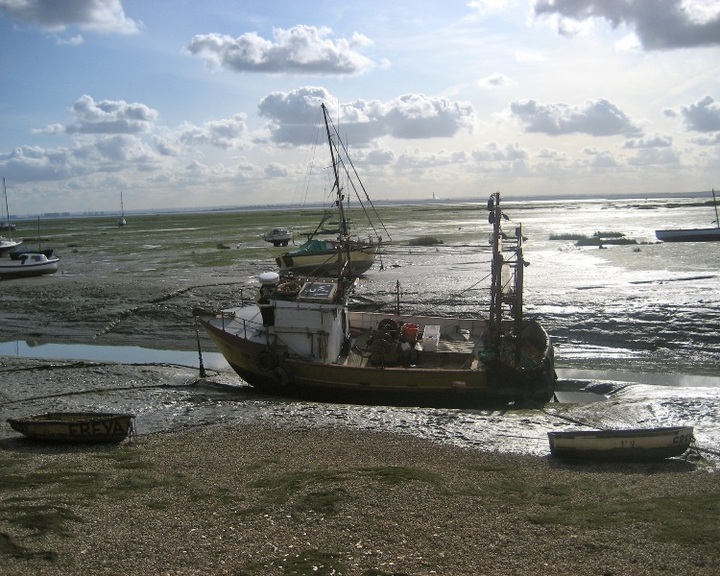 Low Tide