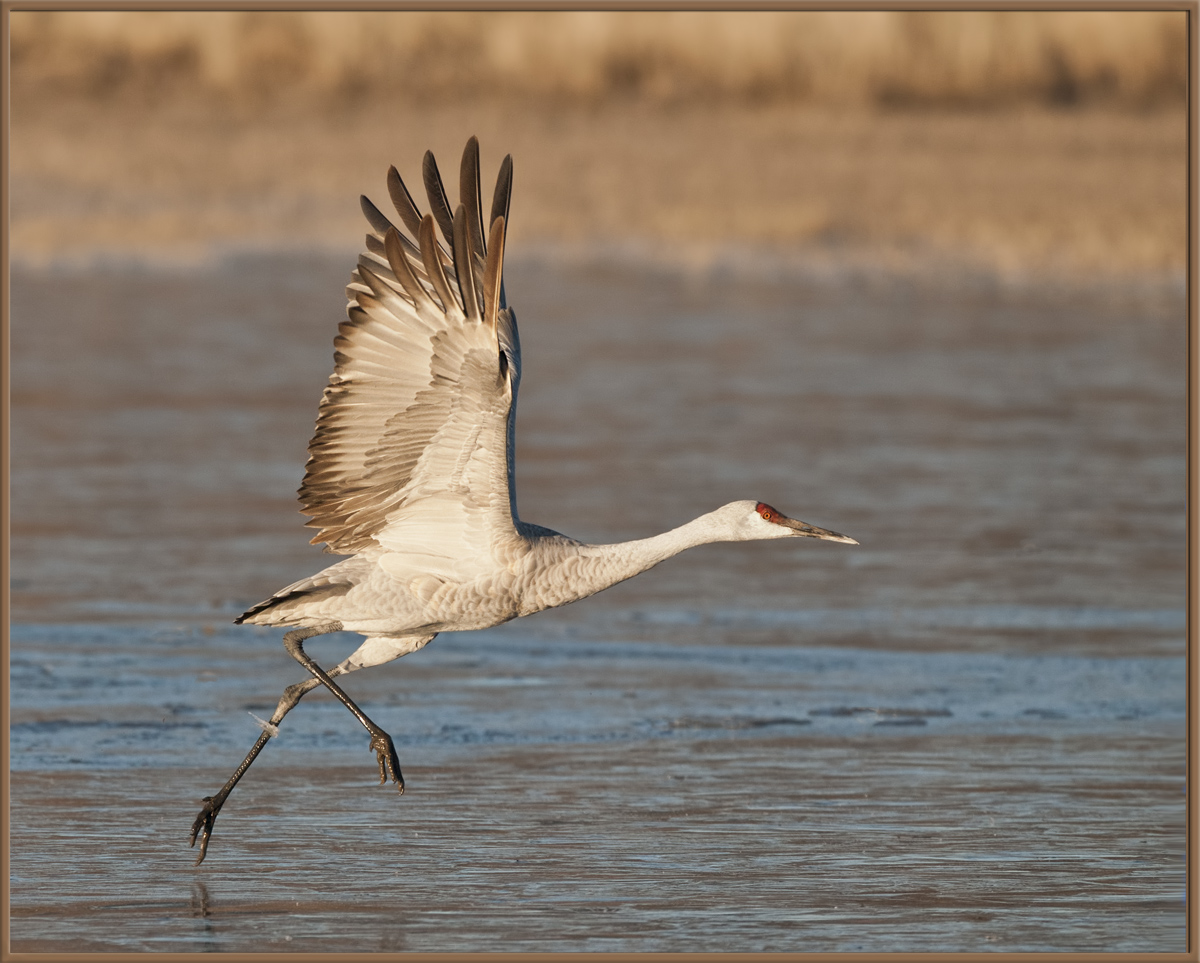 Ice Ballet