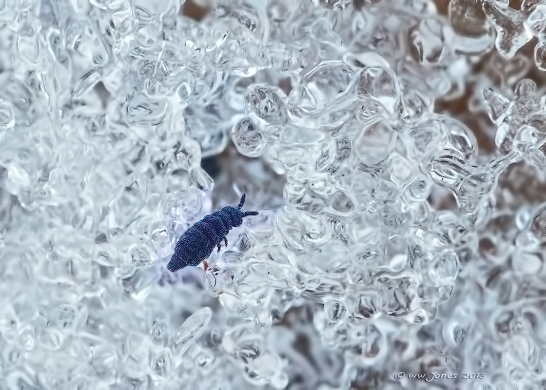 Into the Ice Cave