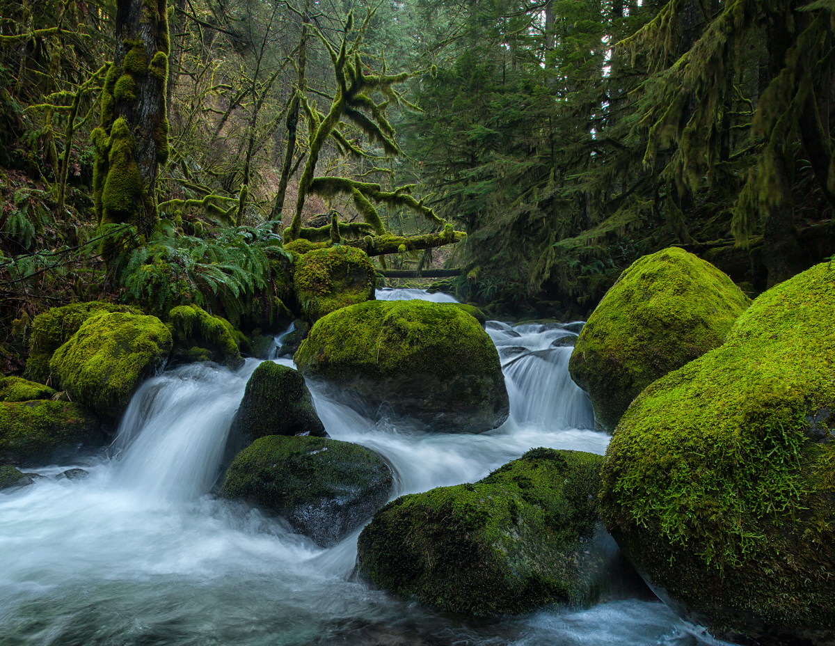 McCord Creek