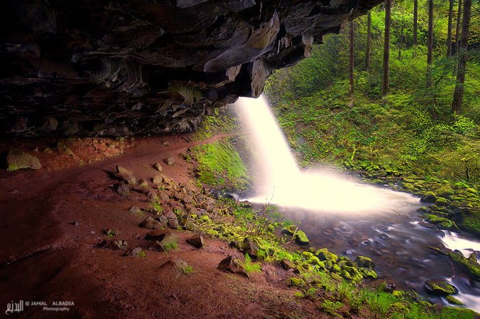 Ponytail falls