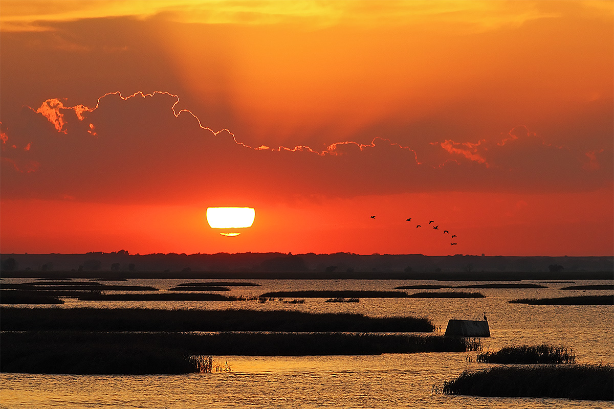 WC 570 - sunset
