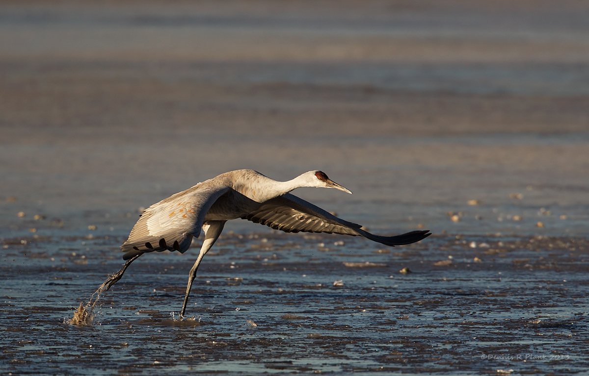 Another Take-off