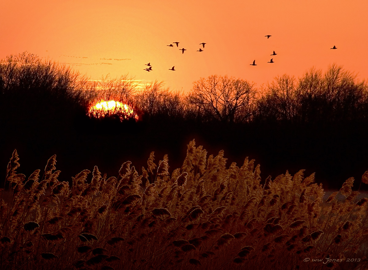 Follow the Sun