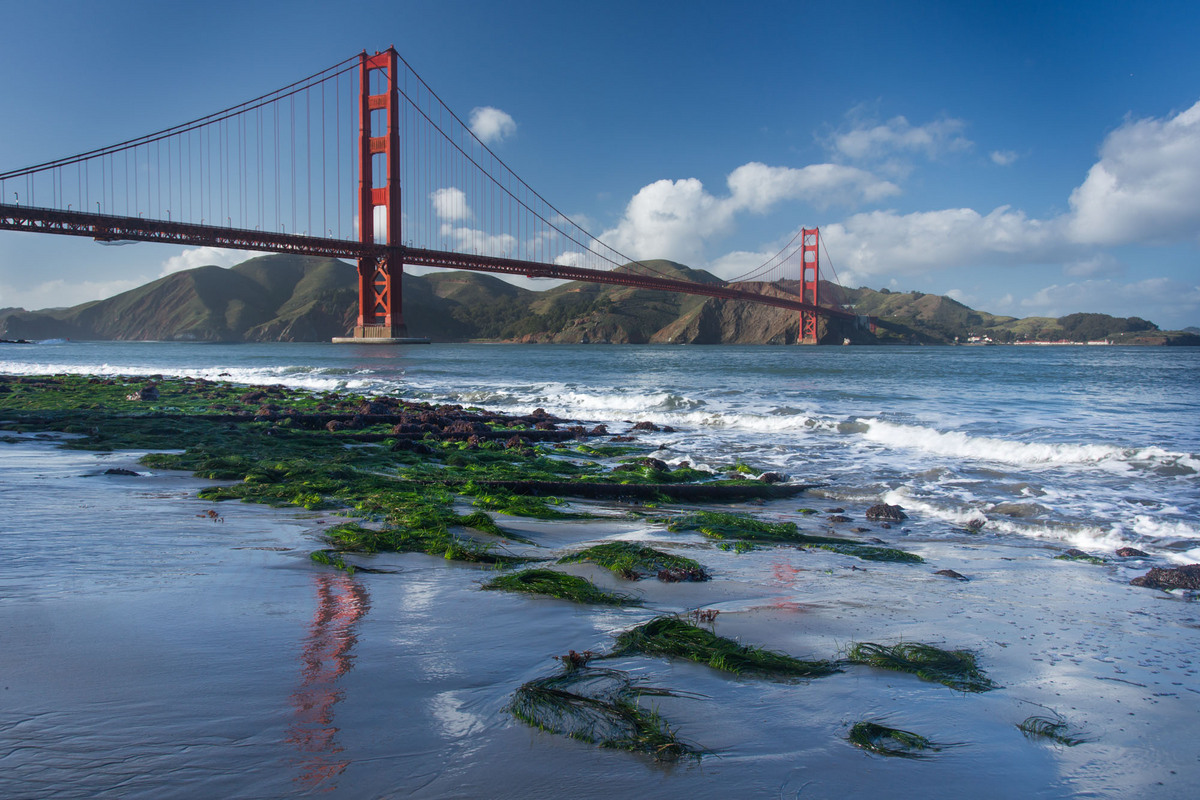 Golden Gate Low Tide