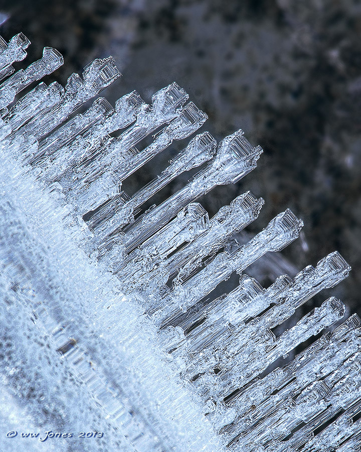 Ice Horns