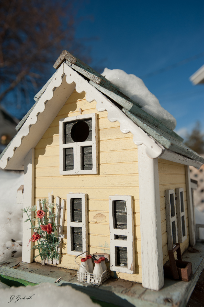 Fixer Upper
