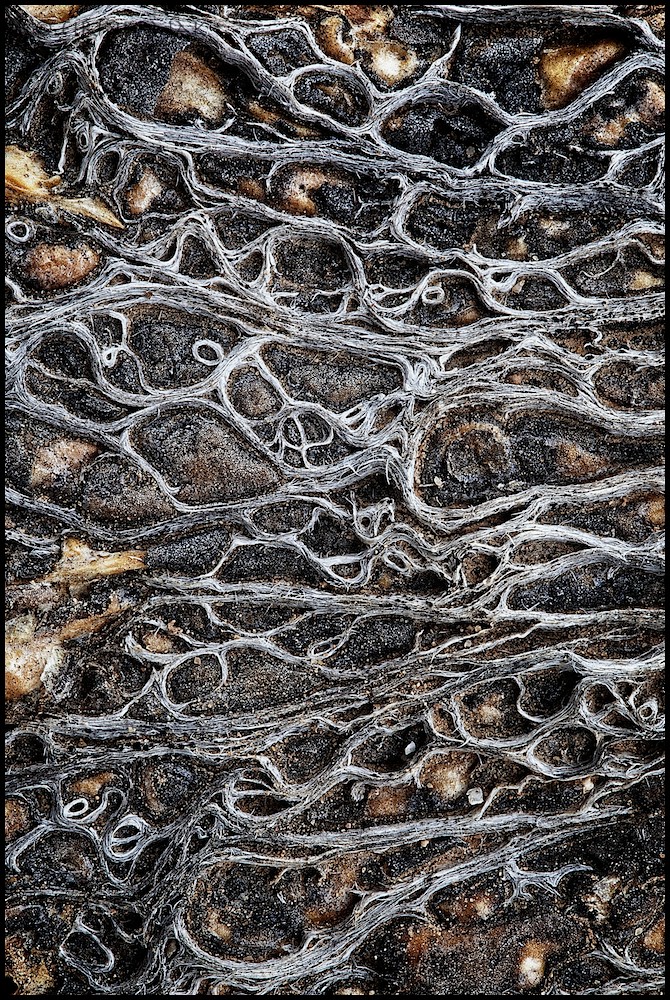 Stream-lined