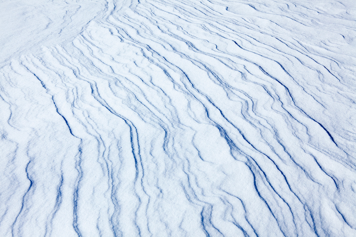 Lines in the Snow
