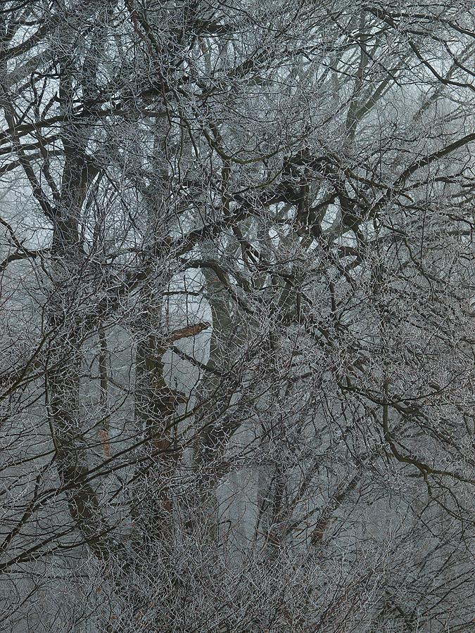 Winter Tales #2