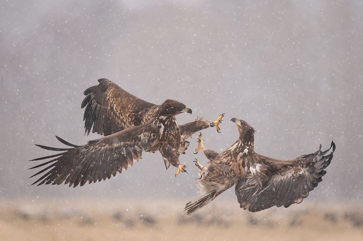 Lift Off !!!
