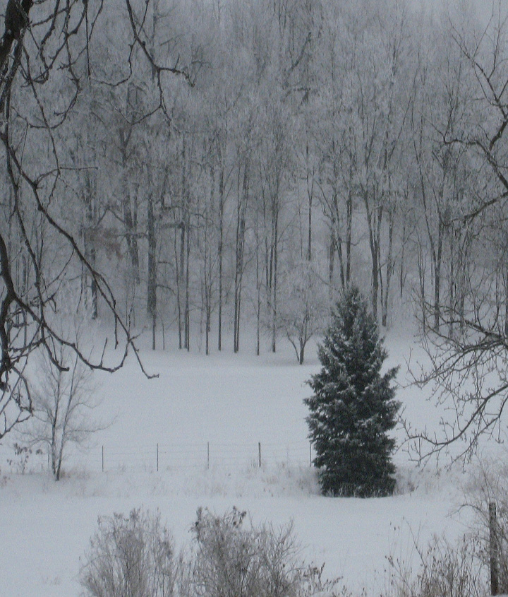 Standing Alone