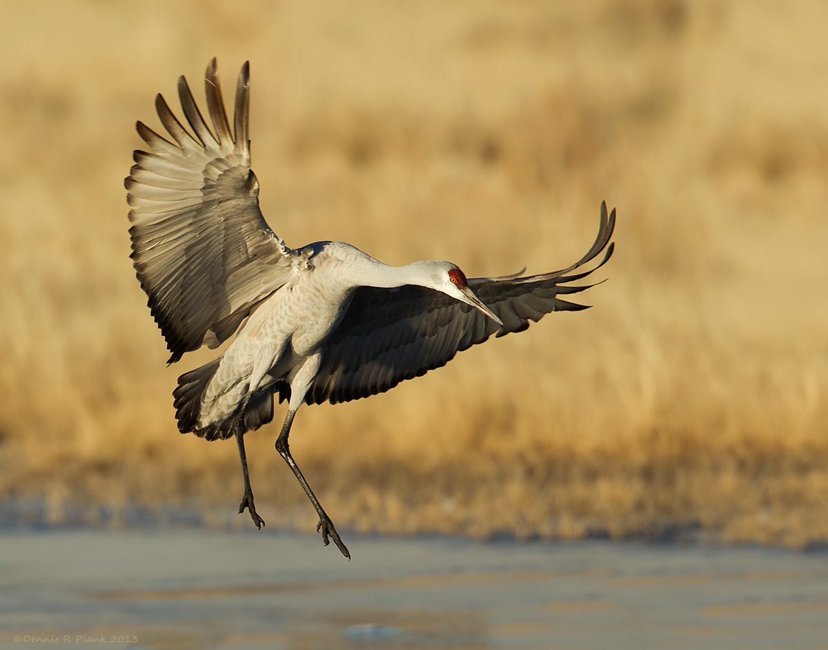 Final Approach