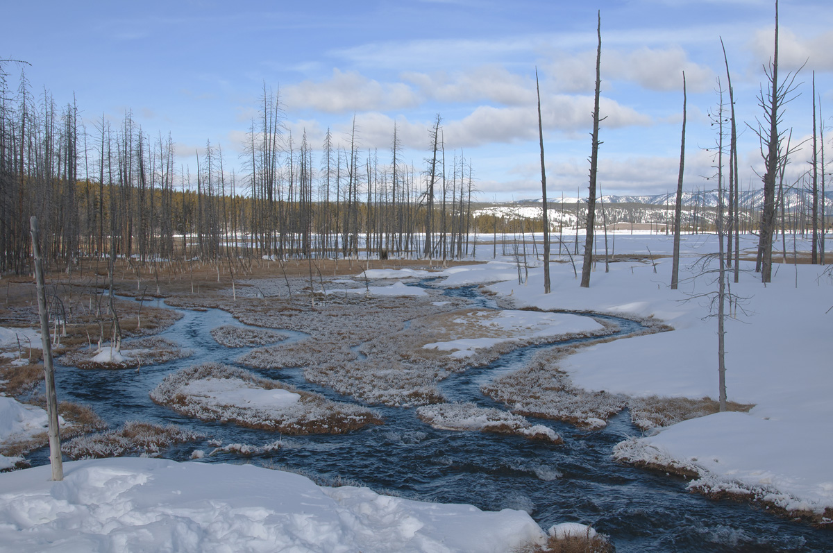 Braided River 