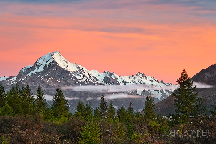 Apricot Sunrise