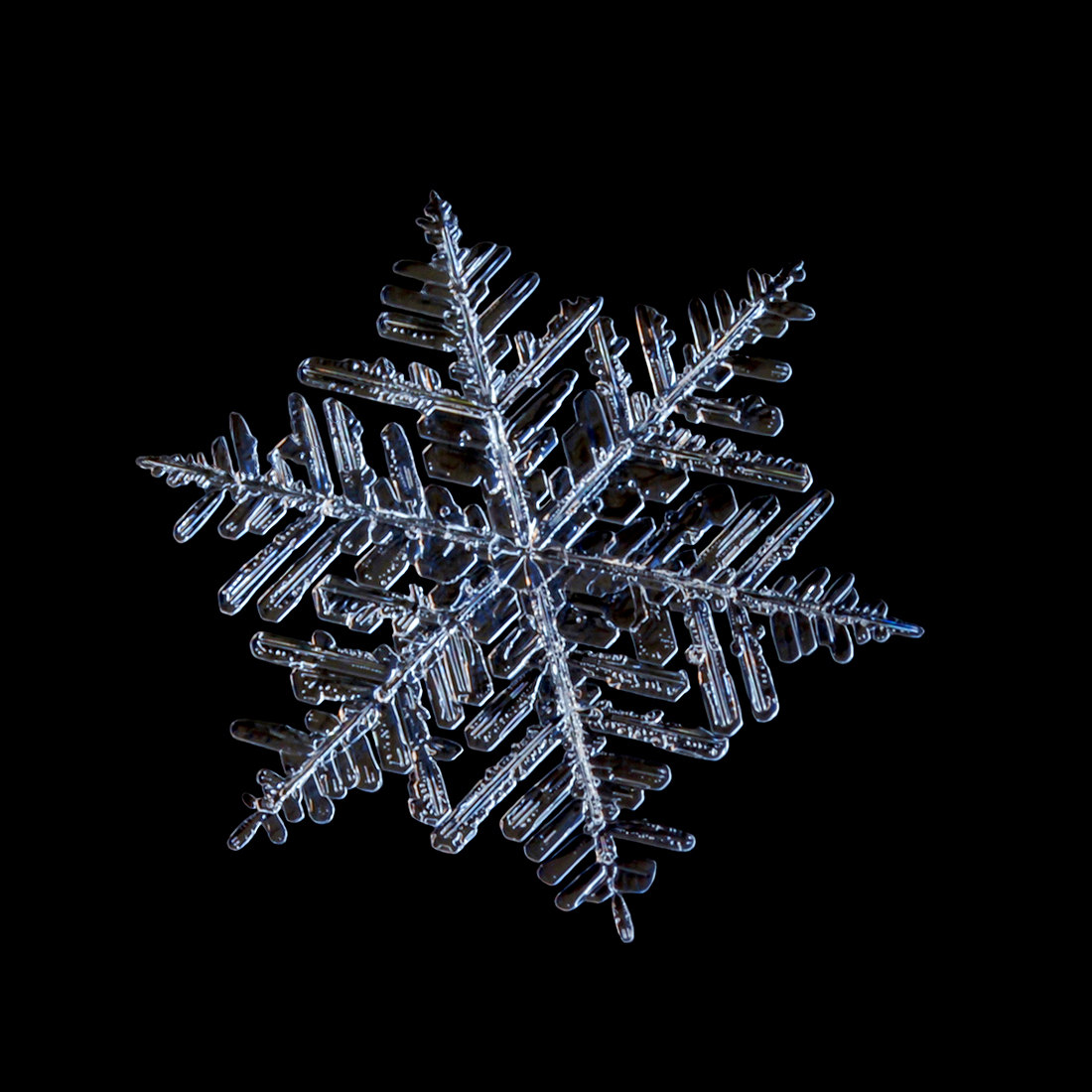Snow crystal