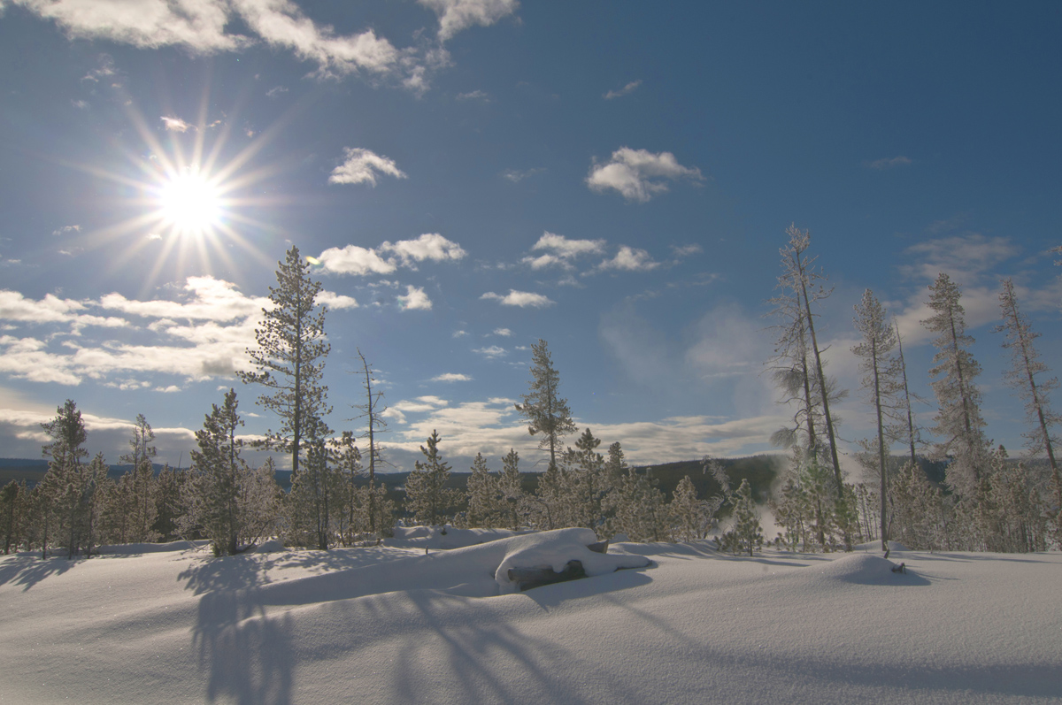 Yellowstone Morning