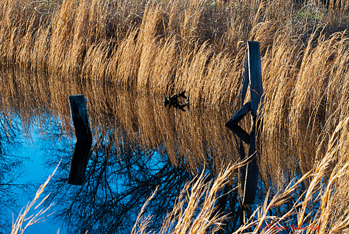 Reflecting