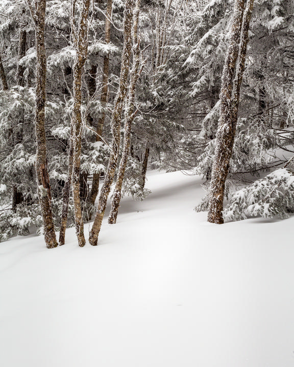 Roan Highlands Winter