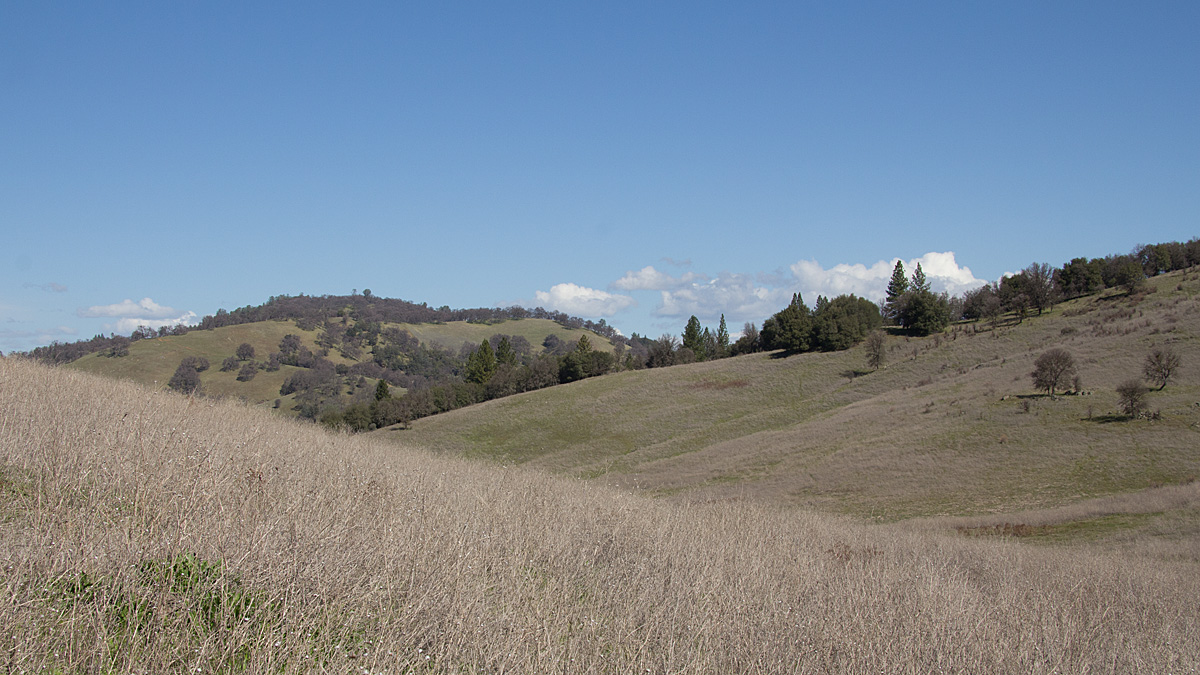 Cronan Ranch Pano
