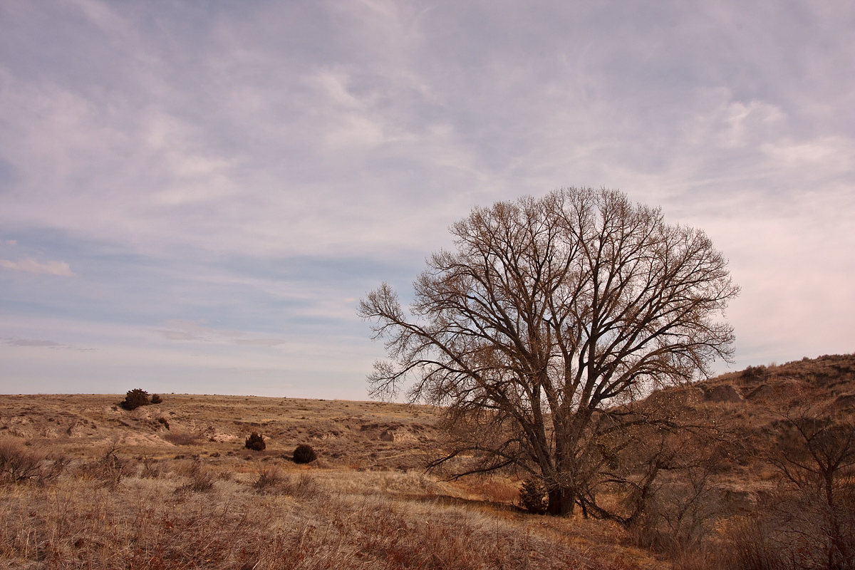 On the Prairie