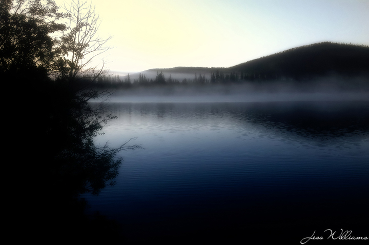 WC #575 - Daybreak Mist