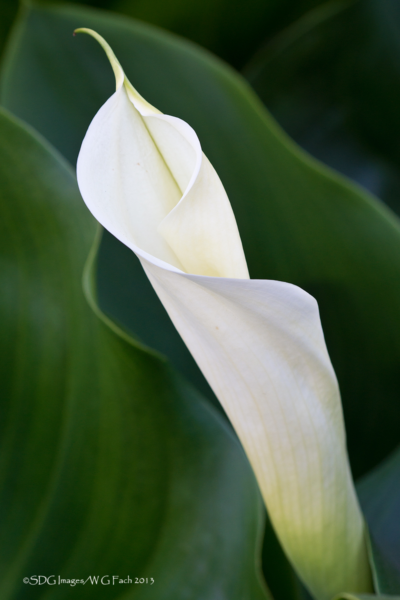 Tight Spiral