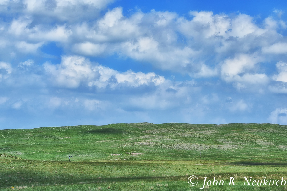 Sandhills summer