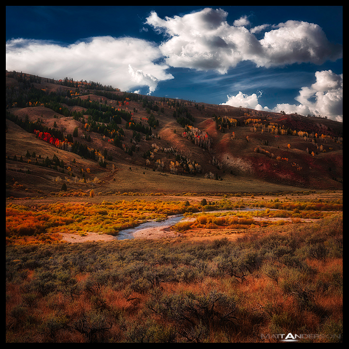 Crystal Creek Hillside