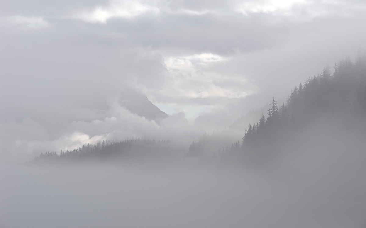 575 - Waking up in a Fog