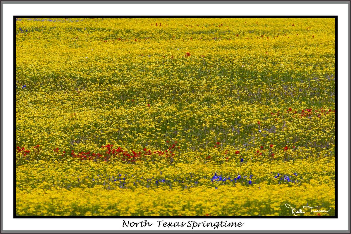 North Texas Springtime