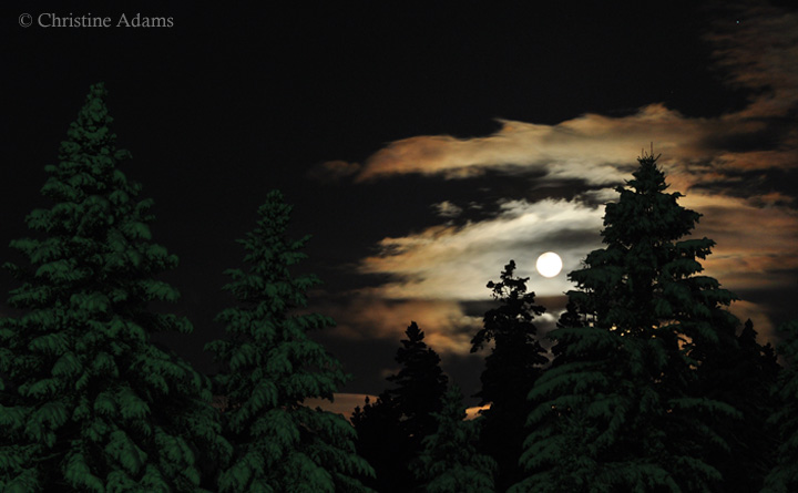 Full Moon