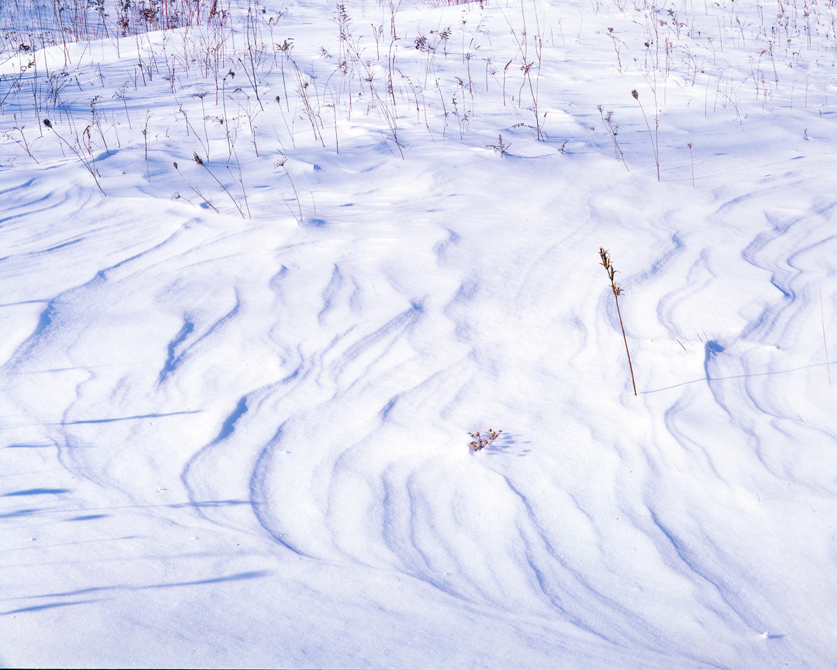 Snow Sculpture